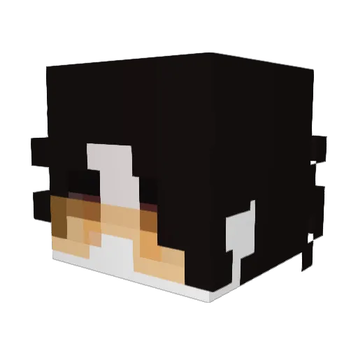 _Zero_Abyss_ Minecraft avatar head, 3D render
