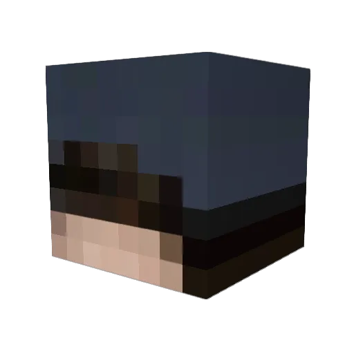 _ZetaxKing_ Minecraft avatar head, 3D render