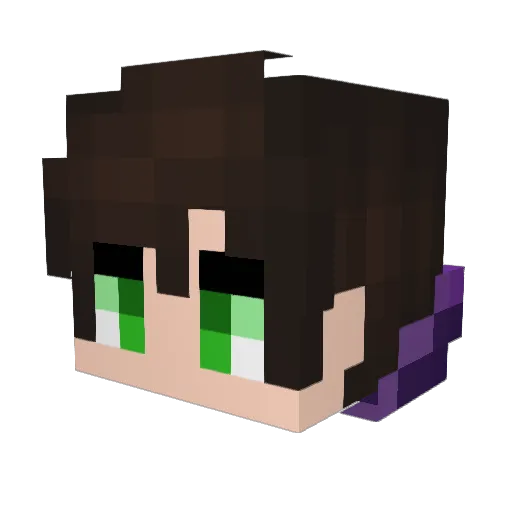 _ZiFlux_ Minecraft avatar head, 3D render