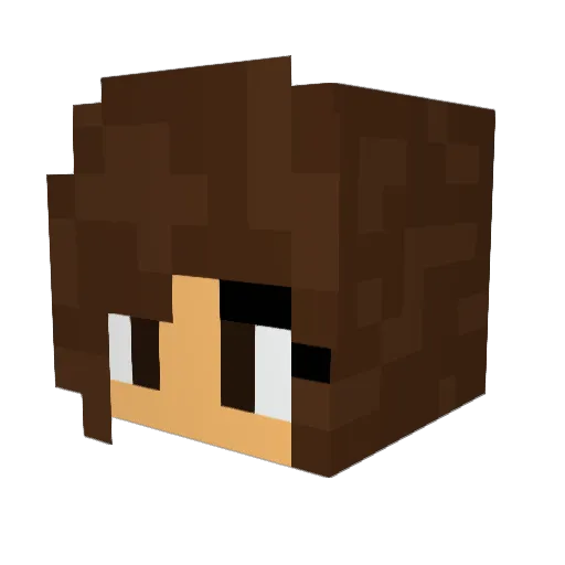 _Zidyy_ Minecraft avatar head, 3D render