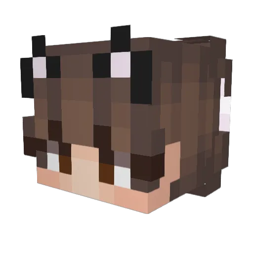 _Ziliana_ Minecraft avatar head, 3D render
