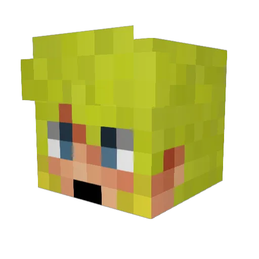 _Zille_ Minecraft avatar head, 3D render