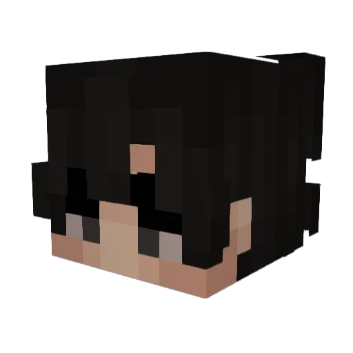 _ZipoTaZze_ Minecraft avatar head, 3D render