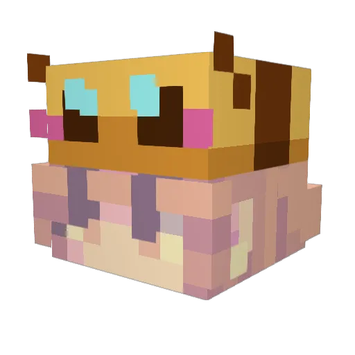 _Zoby_ Minecraft avatar head, 3D render