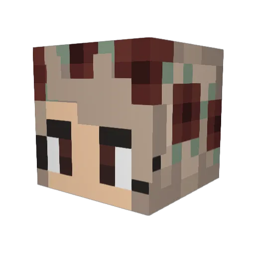_Zofia_ Minecraft avatar head, 3D render
