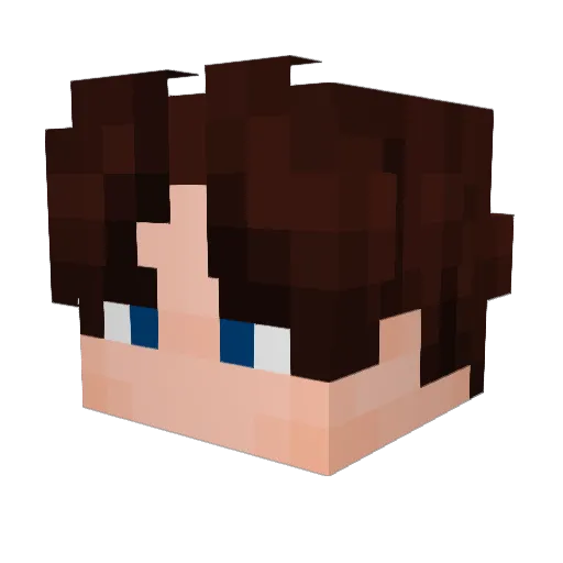 _Zondas_ Minecraft avatar head, 3D render
