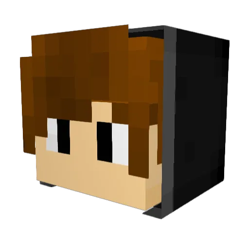 _ZonexPlays_ Minecraft avatar head, 3D render