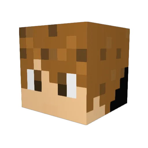_Zoom_12 Minecraft avatar head, 3D render