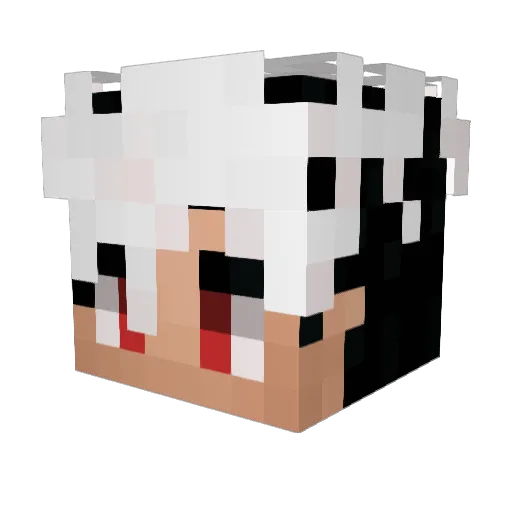 _ZorTeK_ Minecraft avatar head, 3D render