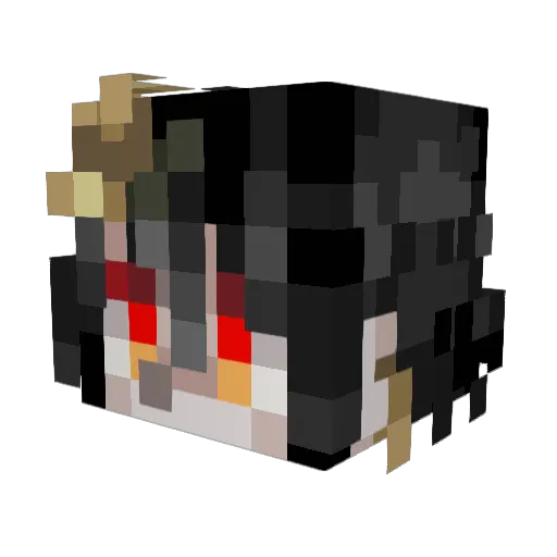 _Zuk1 Minecraft avatar head, 3D render