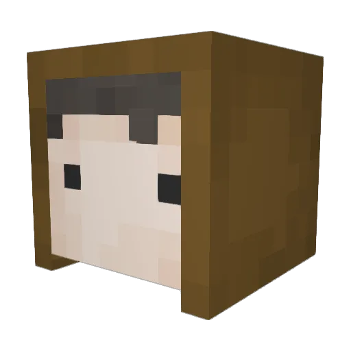 _Zwets_ Minecraft avatar head, 3D render