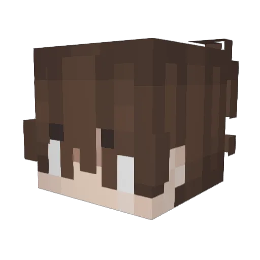_Zyle Minecraft avatar head, 3D render