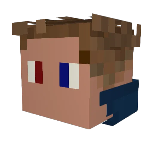 _Zyphin_ Minecraft avatar head, 3D render