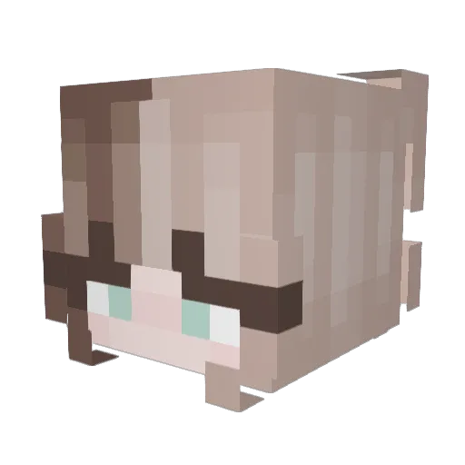 __28Combo Minecraft avatar head, 3D render
