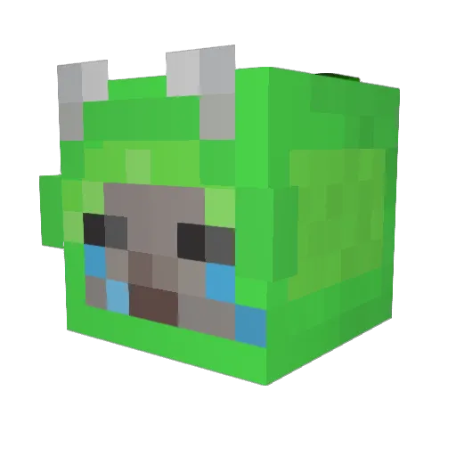 __5_2__ Minecraft avatar head, 3D render