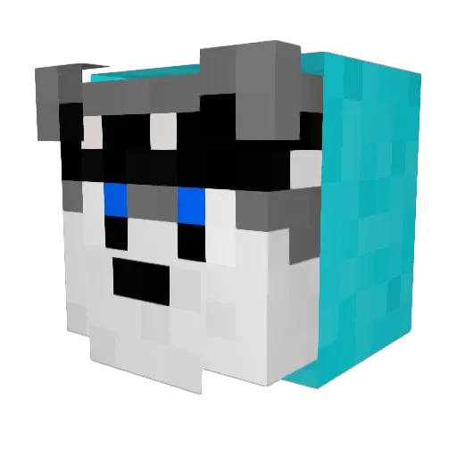 __A_n_d_i__ Minecraft avatar head, 3D render