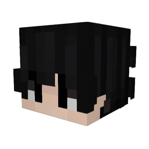 __Akio_ Minecraft avatar head, 3D render