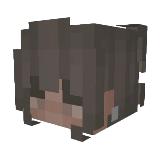__Amara Minecraft avatar head, 3D render