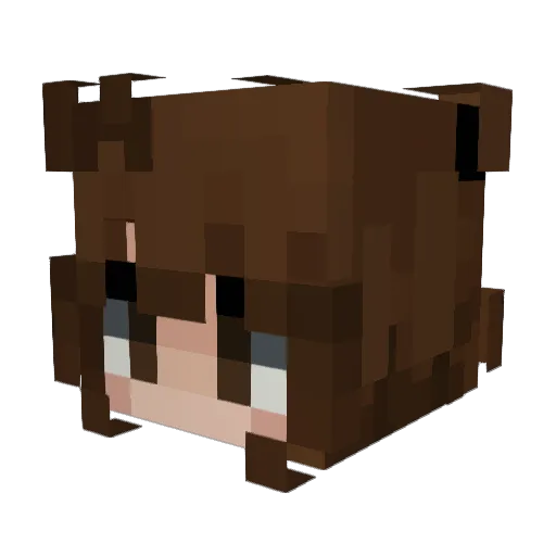 __Anel__ Minecraft avatar head, 3D render