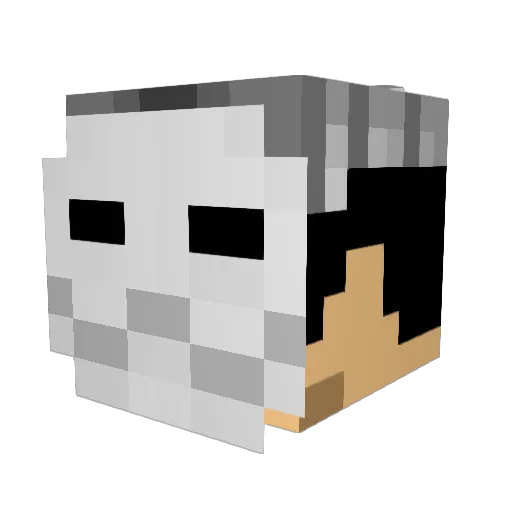 __Aster Minecraft avatar head, 3D render