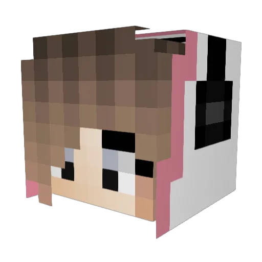 __Bambii Minecraft avatar head, 3D render
