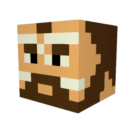 __BeastGamer__ Minecraft avatar head, 3D render
