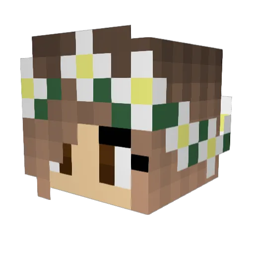 __Bop_ Minecraft avatar head, 3D render