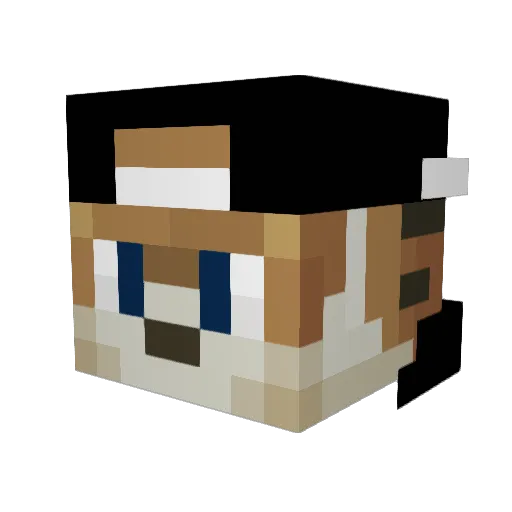 __Buckyyy__ Minecraft avatar head, 3D render