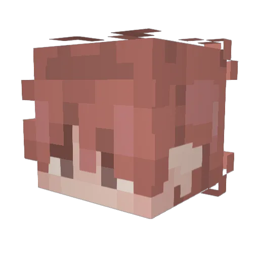 __CaLaMaRi___ Minecraft avatar head, 3D render