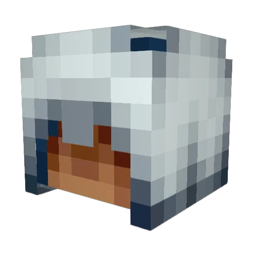 __Cloak Minecraft avatar head, 3D render
