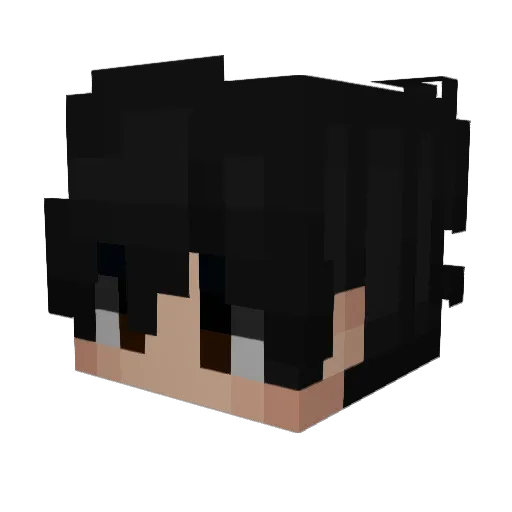__Code Minecraft avatar head, 3D render