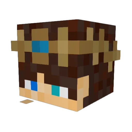 __Cygnus Minecraft avatar head, 3D render