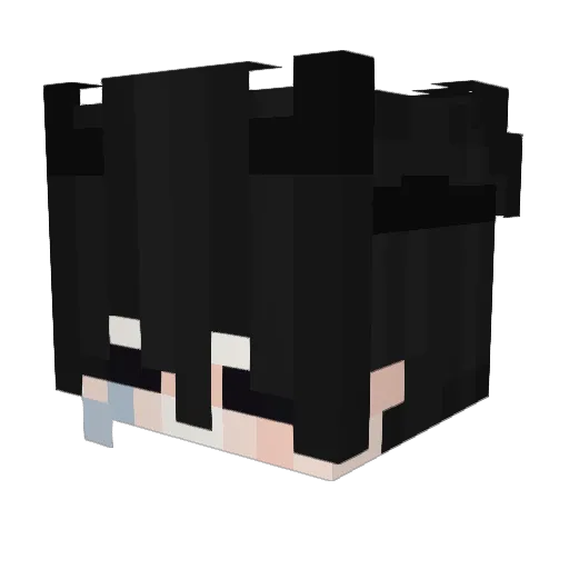 __DBTim__ Minecraft avatar head, 3D render