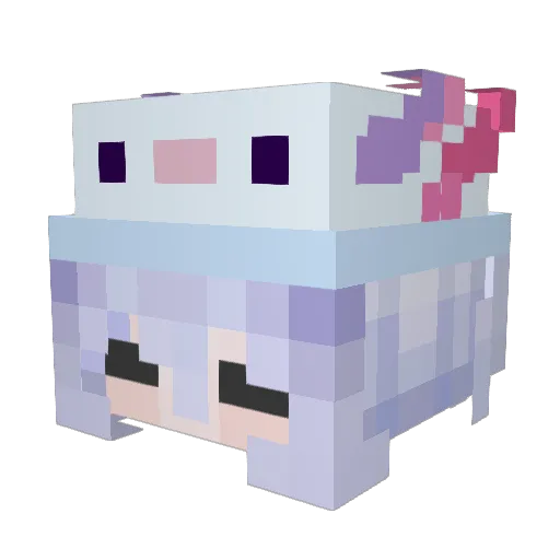 __DONT Minecraft avatar head, 3D render