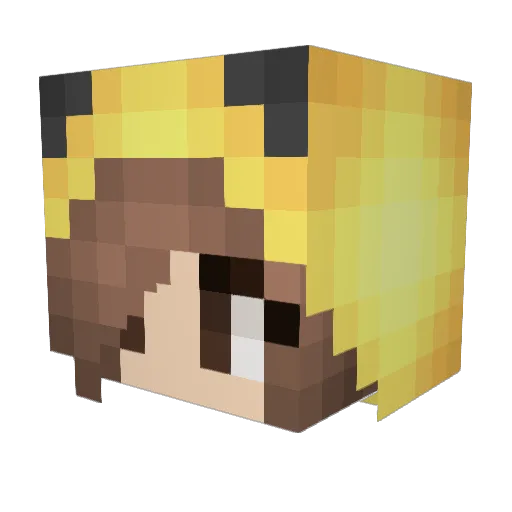 __DarkShine__ Minecraft avatar head, 3D render