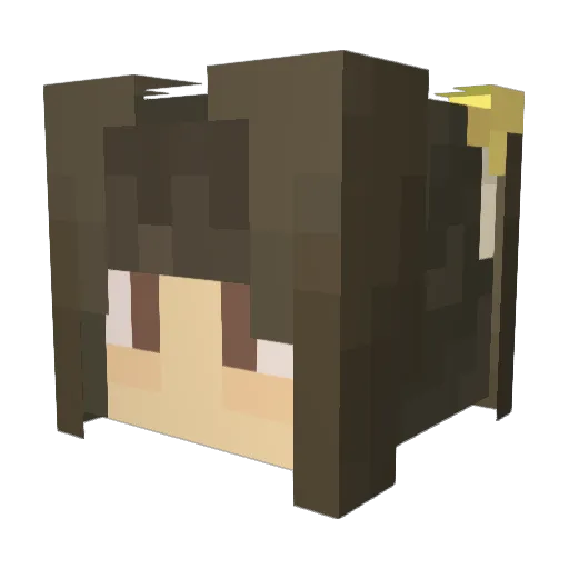 __De Minecraft avatar head, 3D render