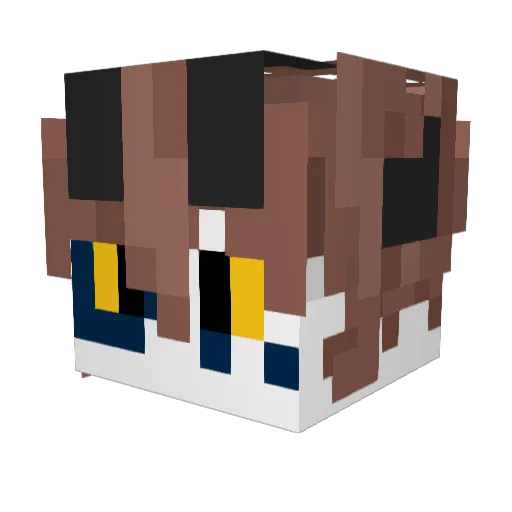 __Deims__ Minecraft avatar head, 3D render