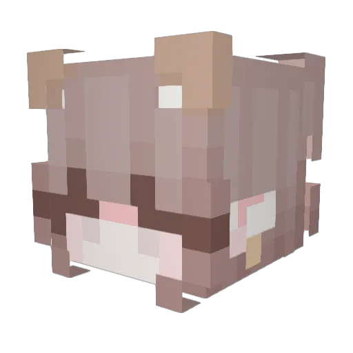 __Delight_ Minecraft avatar head, 3D render