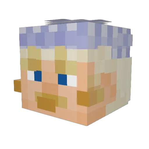 __Docks Minecraft avatar head, 3D render