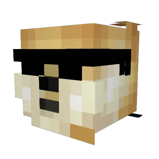 __DogeSwag__ Minecraft avatar head, 3D render
