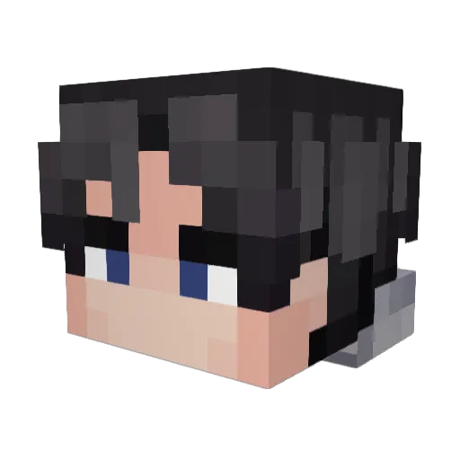 __Durp__ Minecraft avatar head, 3D render