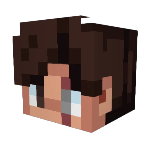 __Dweeb__ Minecraft avatar head, 3D render