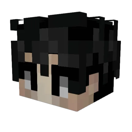 __Edge Minecraft avatar head, 3D render
