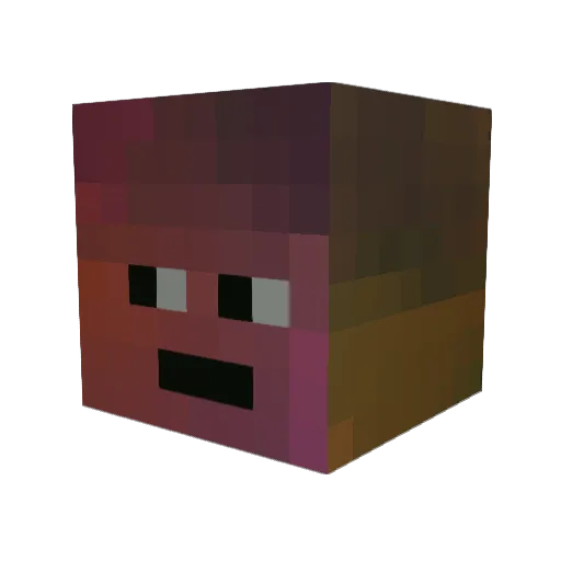 __Ei____ Minecraft avatar head, 3D render