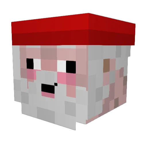 __Enni__ Minecraft avatar head, 3D render