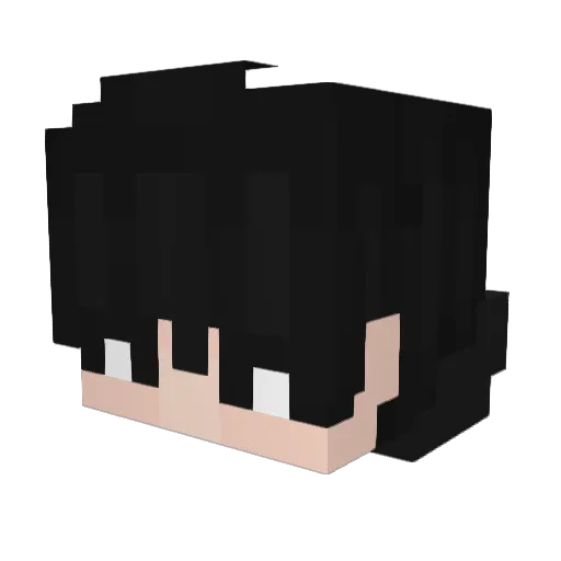 __Evann Minecraft avatar head, 3D render