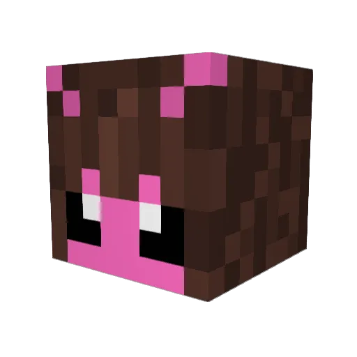 __Fencheltee__ Minecraft avatar head, 3D render