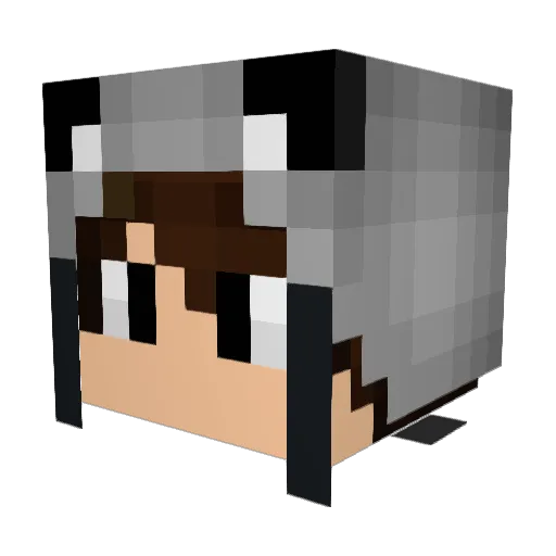 __Flash Minecraft avatar head, 3D render