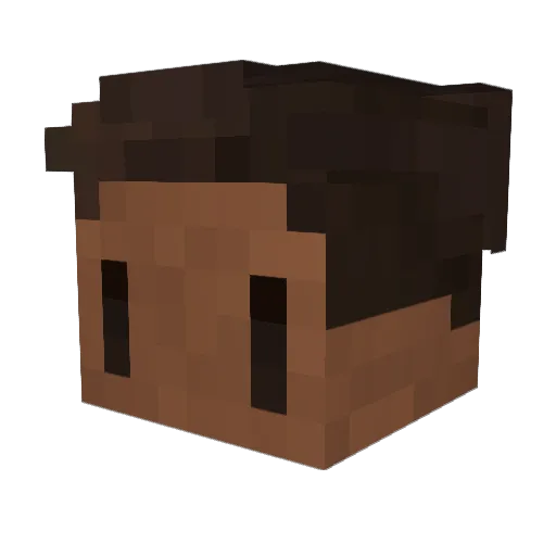__Fuzi__ Minecraft avatar head, 3D render