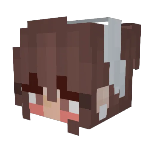 __GRuNG__ Minecraft avatar head, 3D render